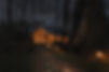 night cabin 2.jpg