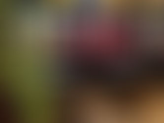 The restaurant on Valentines day with Decor