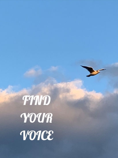 Find Your Voice