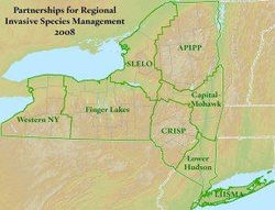 Find your regional PRISM