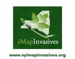 Track invasives in NYS