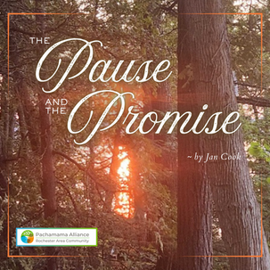 The Pause and The Promise