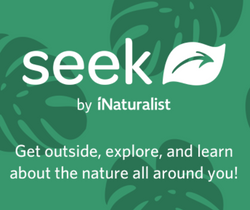 Get help identifying plants