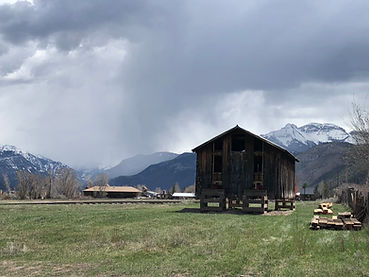 IMG_0704.jpeg