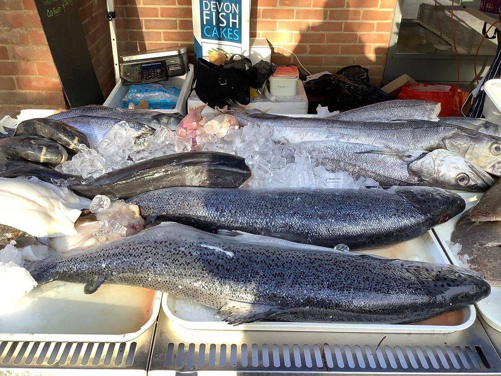 Devon Fish