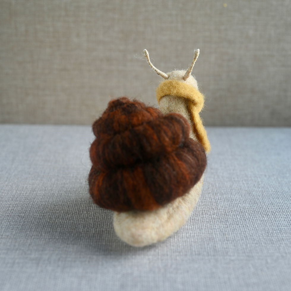 Thumbnail: fancy snails