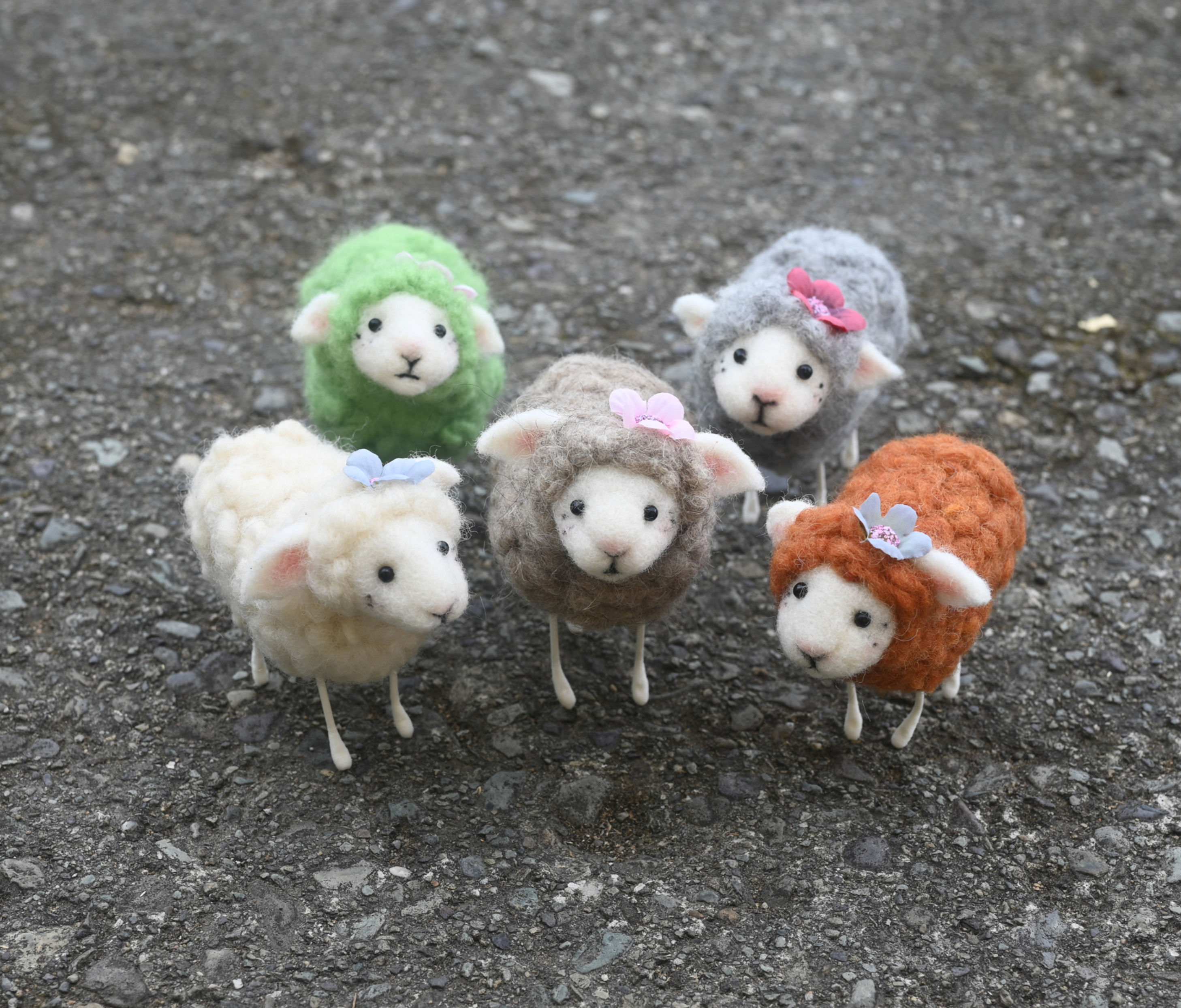 summer sheep