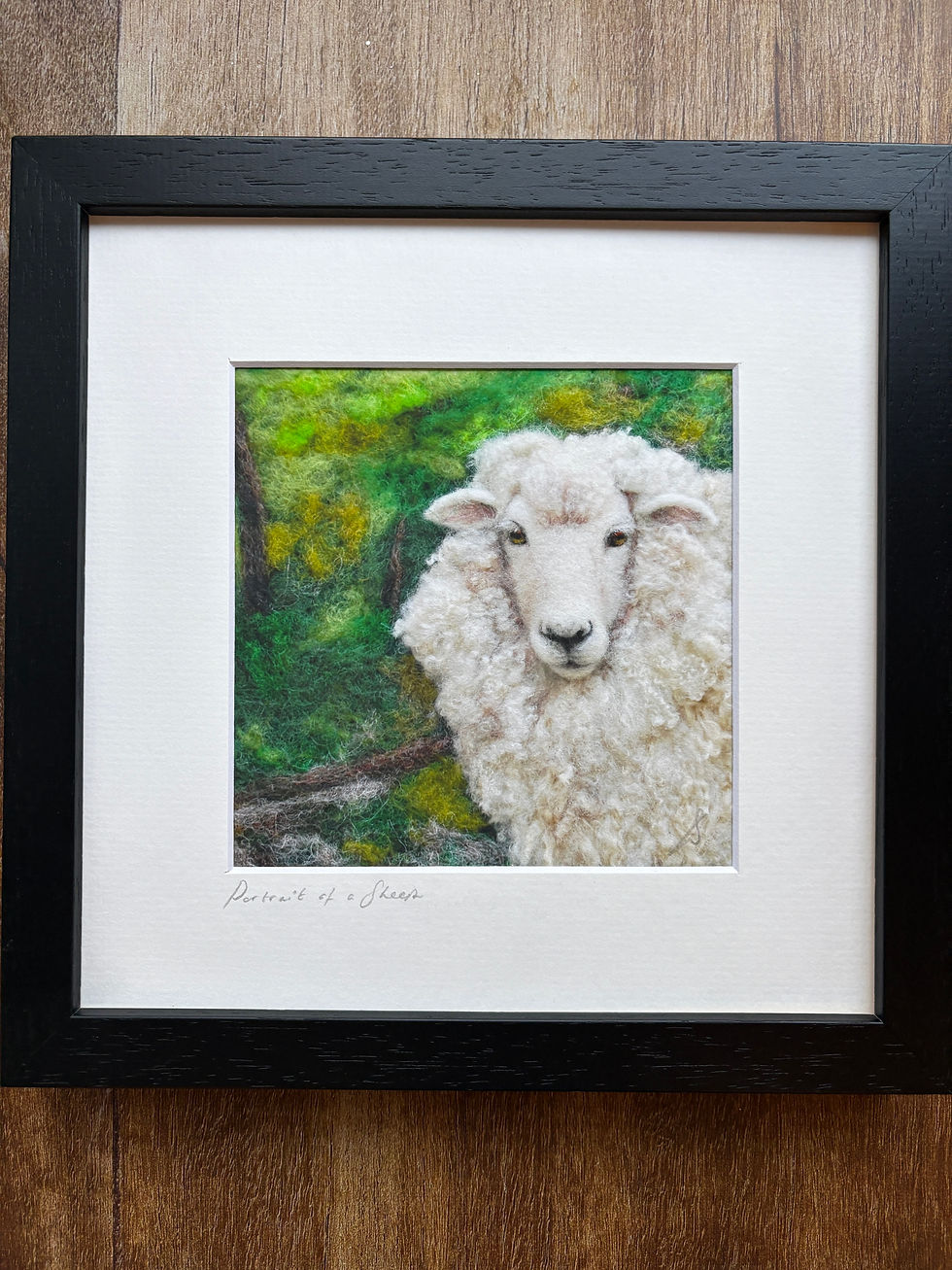 Portrait of a sheep
