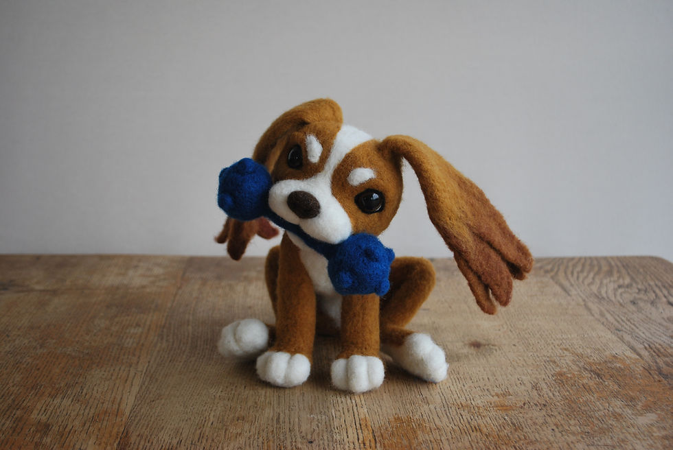 Fuzz Wizz Commission