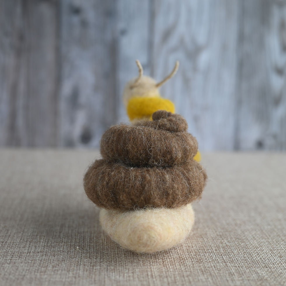 Thumbnail: fancy snails - moorit brown