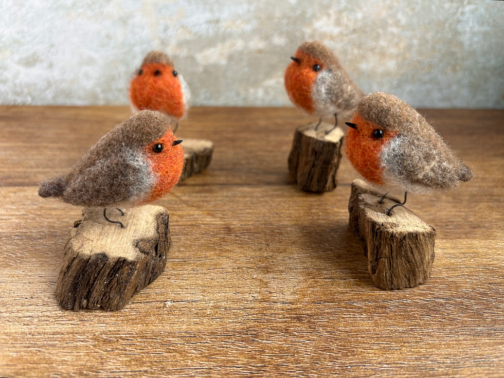 Thumbnail: little robin on driftwood