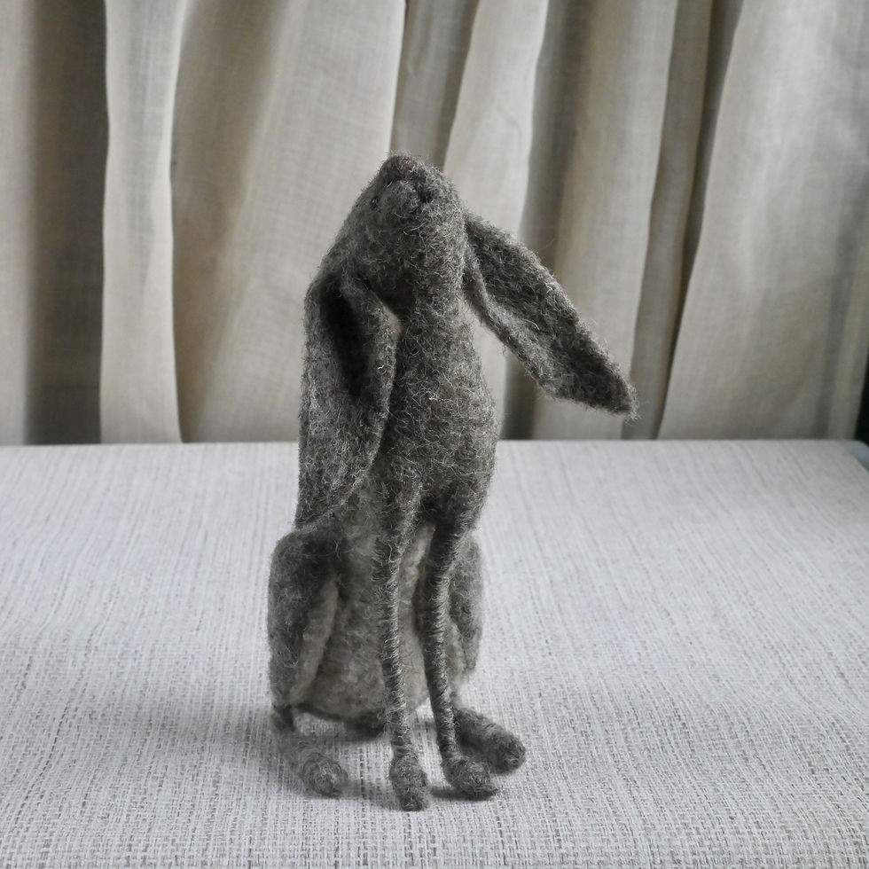 Thumbnail: little grey moon hare