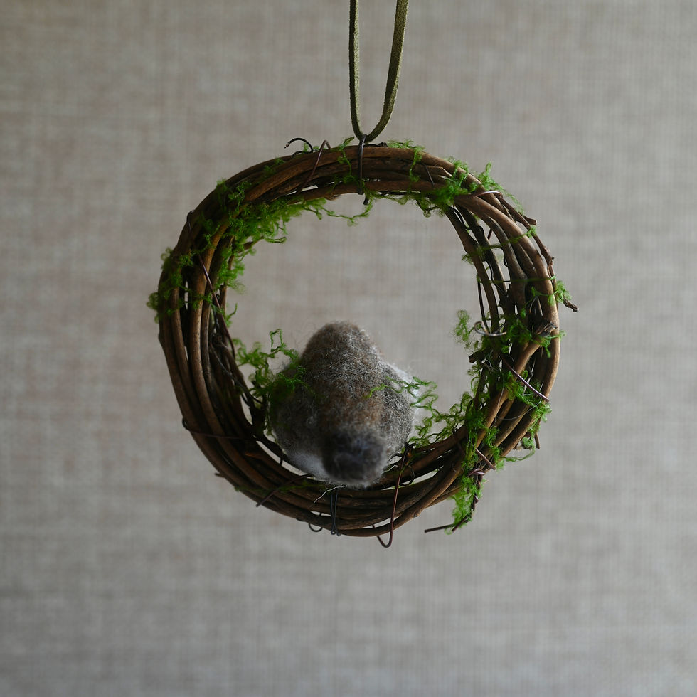 Thumbnail: robin wreath