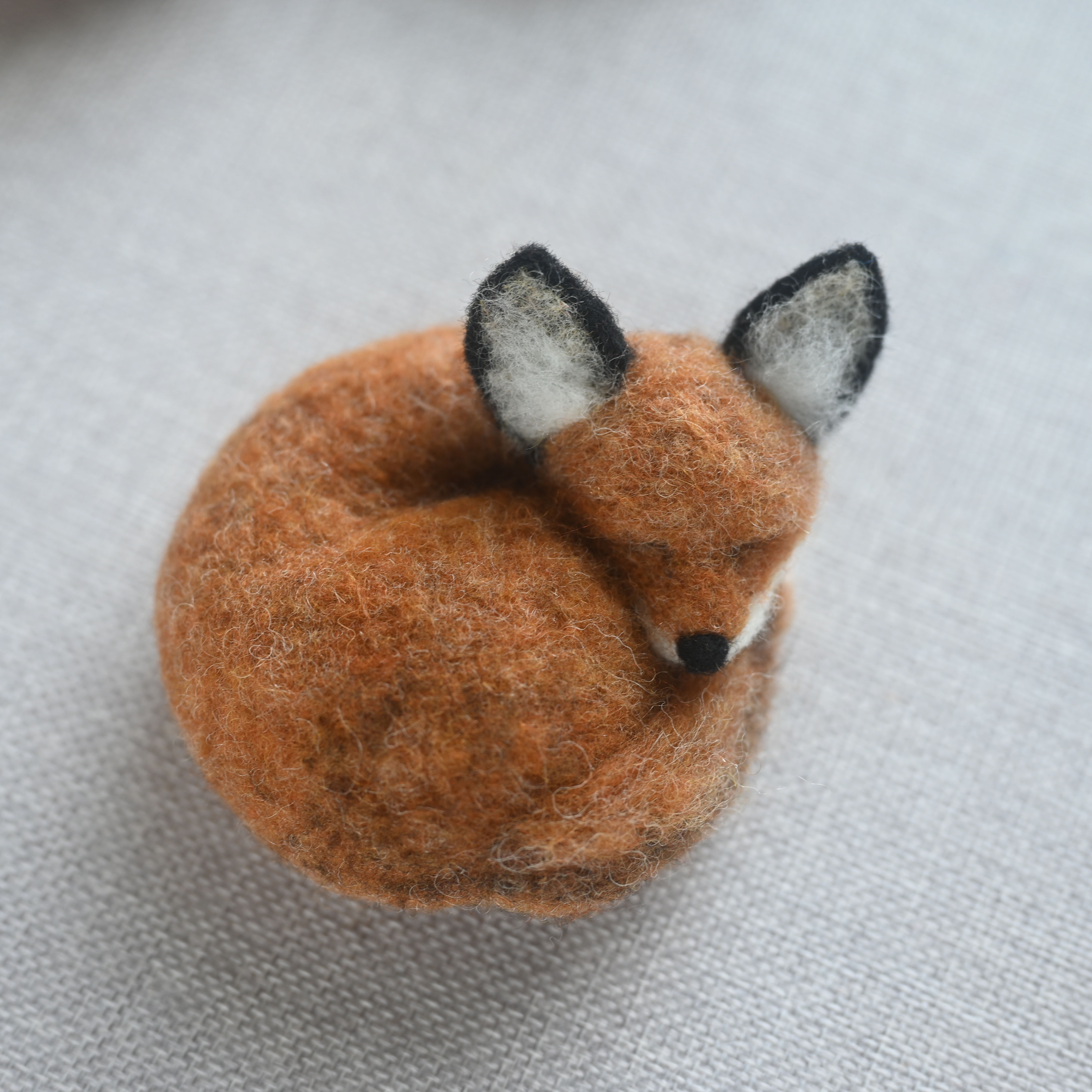 Sleeping Fox