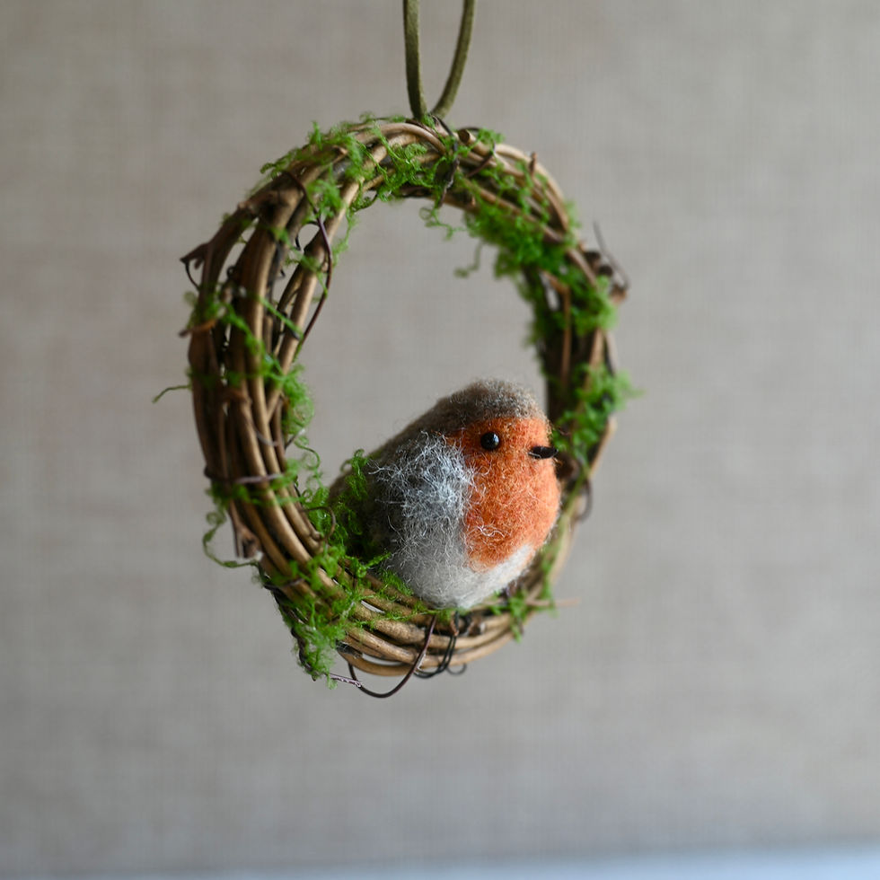 Thumbnail: robin wreath