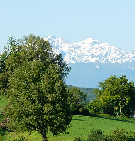 Vue Pyrénées depuis Gîte les Pieds en Eventail