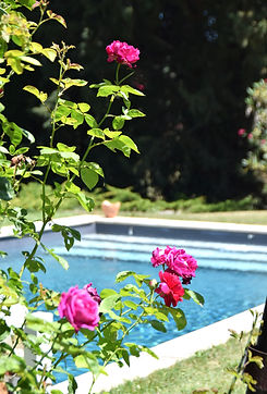 Piscine Gîte de charme Carcassonne - Domaine de la Salutière