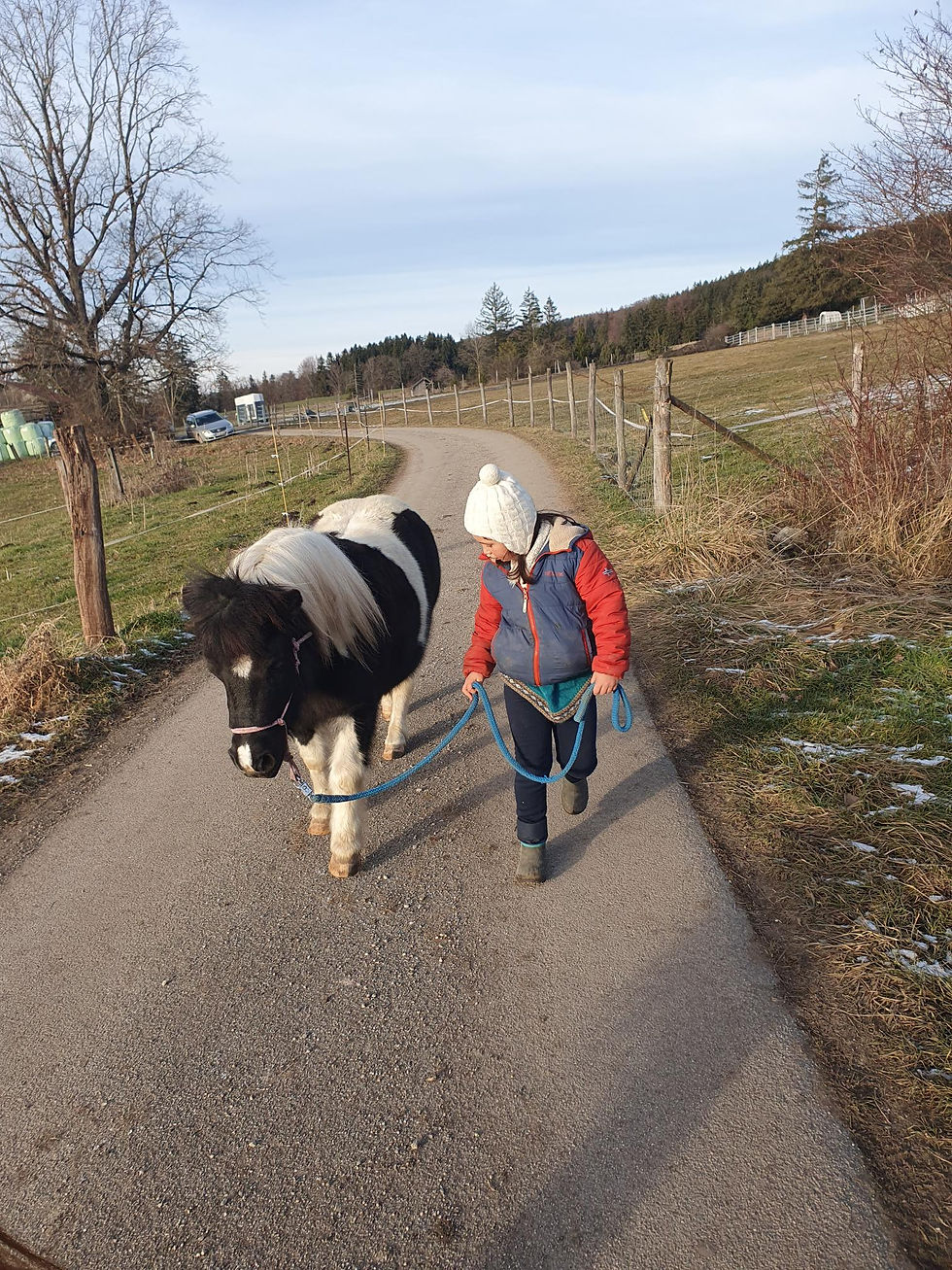 shared image (15).jpeg