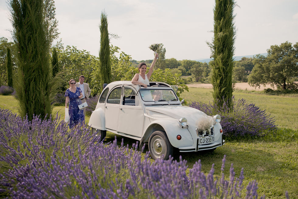 Reportage Photo de Mariage M&O 95