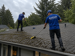 Roof cleaning