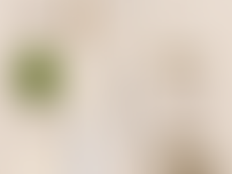 🌿 Mini Moss Terrarium Necklaces or Desk Decor