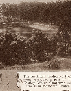 1 Piedmont - Reservoir with water in it.jpeg