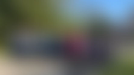 Forgotten Founder, Lasting Legacy: Honoring Wallace Alexander on Sea View