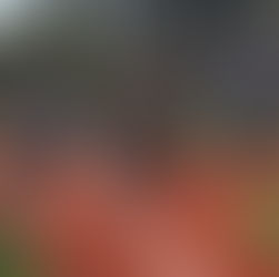 We’ve reached over $850k in donations to Hampton Park! March 25, 2017 