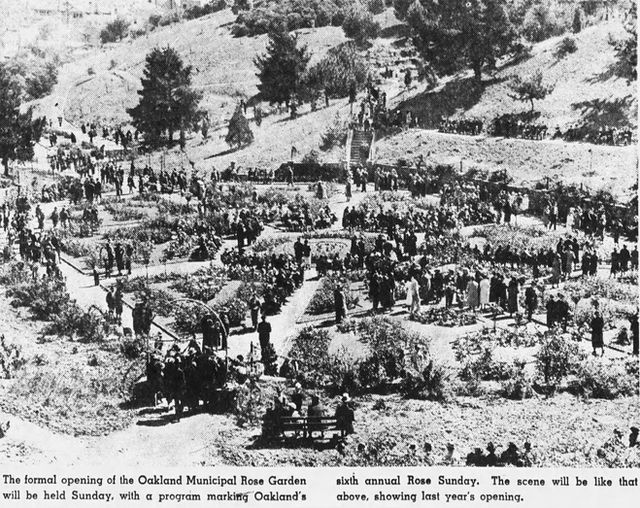 1 Oakland_Tribune_Thu__May_11__1939_.jpeg