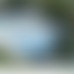 Piedmont Beautification Foundation thanks donors for the pool landscaping project