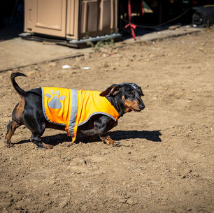 City marks another community pool milestone