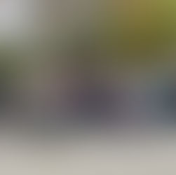 Hidden Plaques, Lost Mansions, and Sculpted Bears