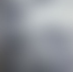 From Daffodils to Devotion: A Rain-Kissed Visit to Corpus Christi