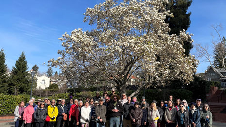 Heritage Trees and Davie Tennis Walk Group Photo