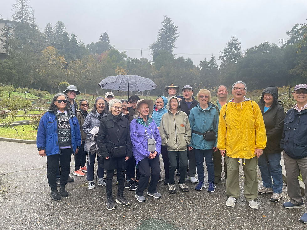 Rain, Roses, and Recharge: A Holiday Walk to Grand Avenue