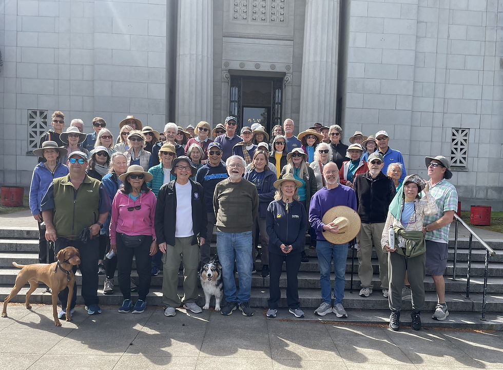 Eight Years, 52 Walkers, and One Historic Cemetery Tour