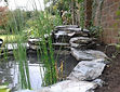 Small Pond Ayr