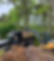 Screenshot 2025-01-26 at 8.16.12 PM.png