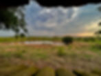 Punda Maria  Northern Kruger National Park