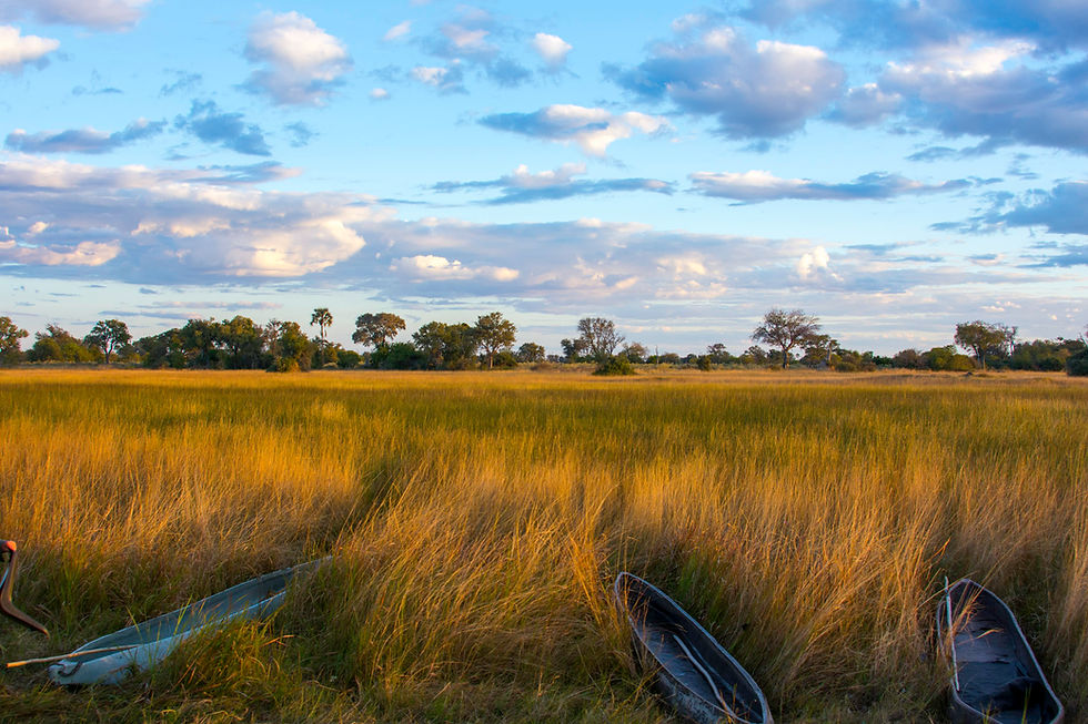 Canoes in Okavango Delta sunset