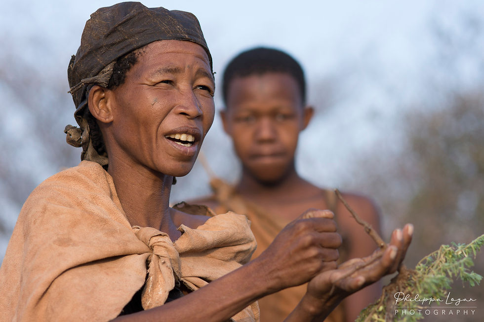 bushman medicine goandbeyond