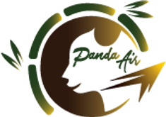 Asset 1.png