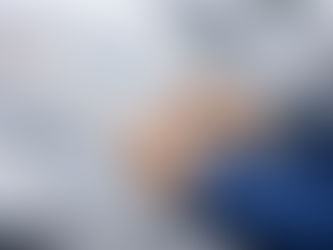 Remote Vehicle Inspections: No Risk - All Reward