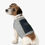 Thumbnail: Stylish Pet Tank Top - Pet Lovers Gift, Summer Outfit,Pet Fashion