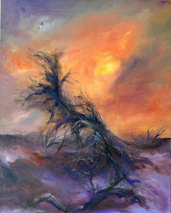 49-Sunset Solitude_30x24_indigosWebsite