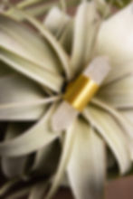 belwith-keeler-michigan-nuway-kitchen-and-bath