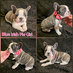 photocollage_2025121118312758 - Copy.jpg