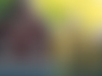 How to Pay off Your Mortgage Faster