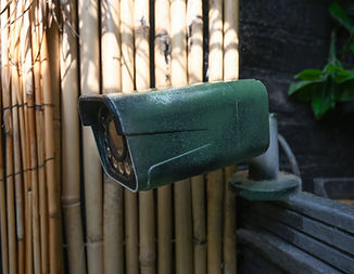 NOH_0289.jpg