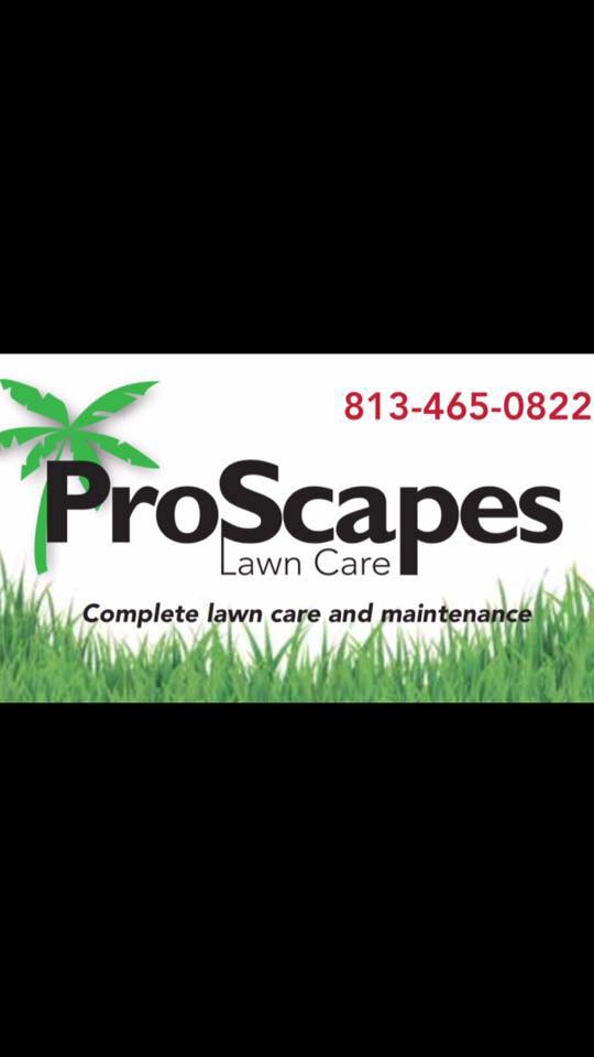 Home ProScapes Lawn Care